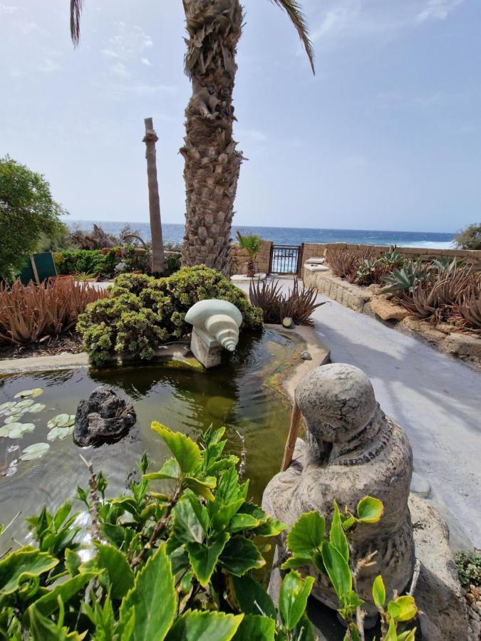 Little Paradise In El Medano Granadilla De Abona Bagian luar foto