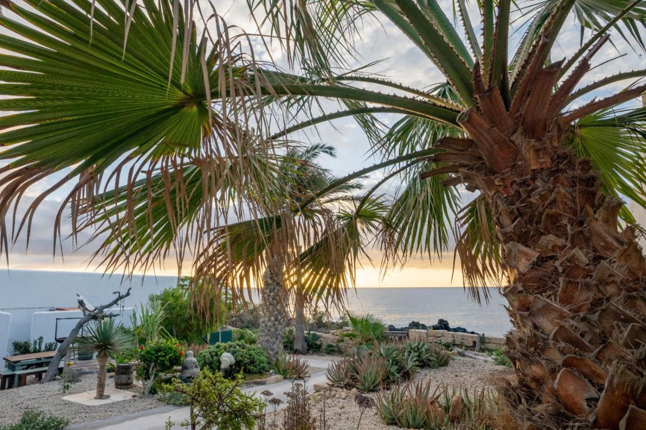 Little Paradise In El Medano Granadilla De Abona Bagian luar foto